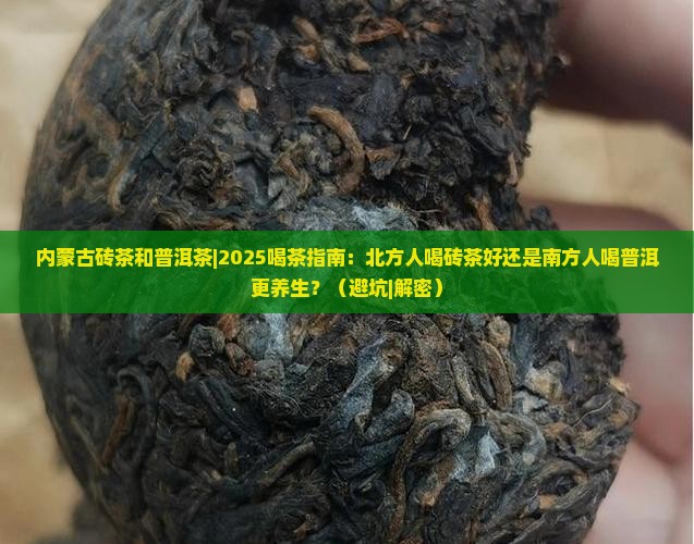 内蒙古砖茶和普洱茶
