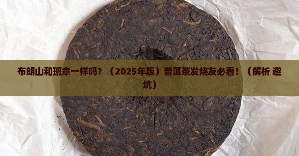 布朗山和班章一样吗