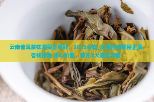 云南普洱茶在哪买正宗好