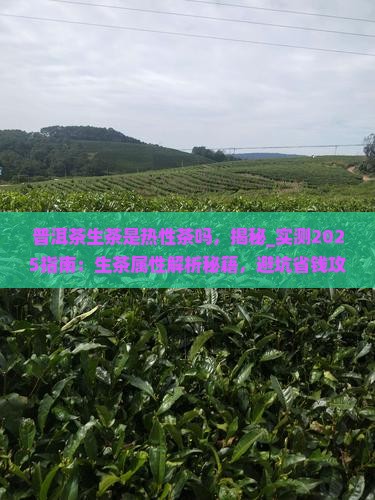 普洱茶生茶是热性茶吗