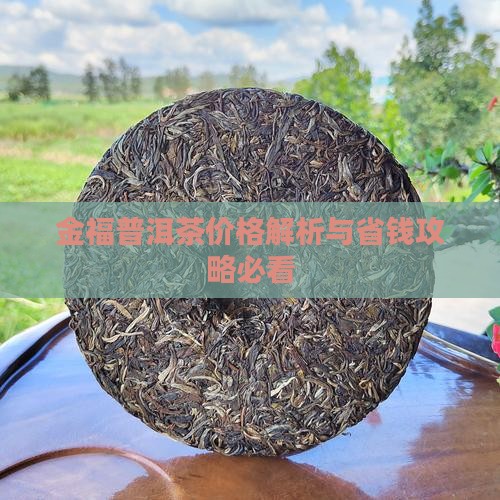 金福普洱茶价格