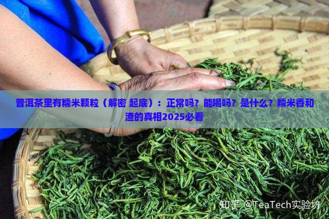 普洱茶里有糯米颗粒