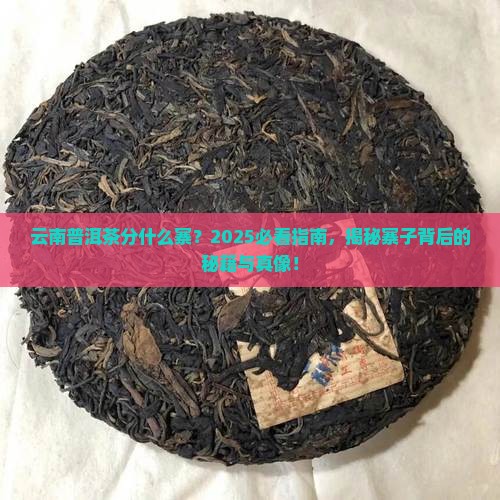 云南普洱茶分什么寨