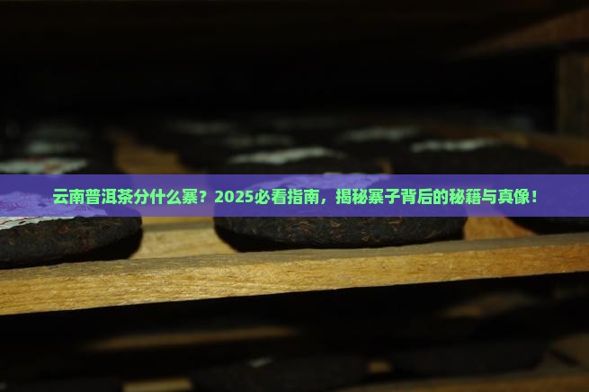 云南普洱茶分什么寨