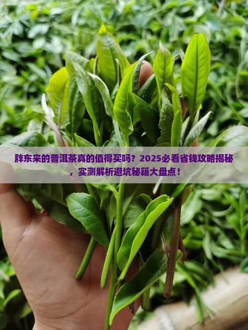 胖东来的普洱茶