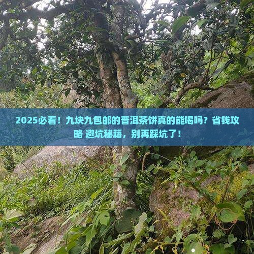 九块九包邮的普洱茶饼好吗