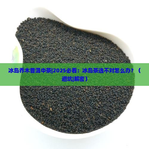 冰岛乔木普洱中茶