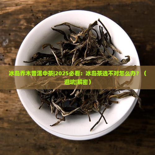 冰岛乔木普洱中茶