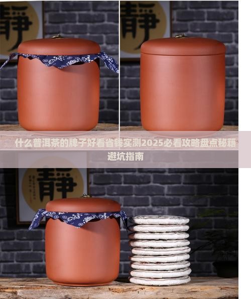 什么普洱茶的牌子好看