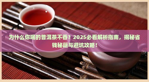 关注我带你了解普洱茶