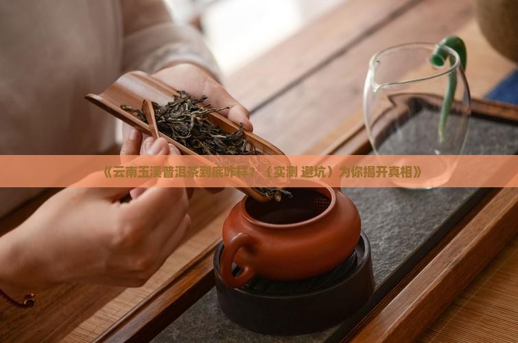 云南玉溪普洱茶好不好
