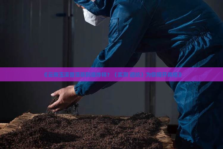 云南玉溪普洱茶好不好