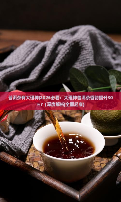 普洱茶有大理种