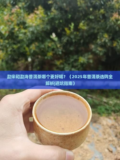 勐宋和勐海普洱茶哪个好喝点