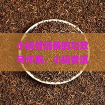 小橘普洱茶的功效与作用
