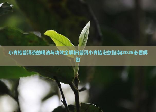 小青桔普洱茶的喝法