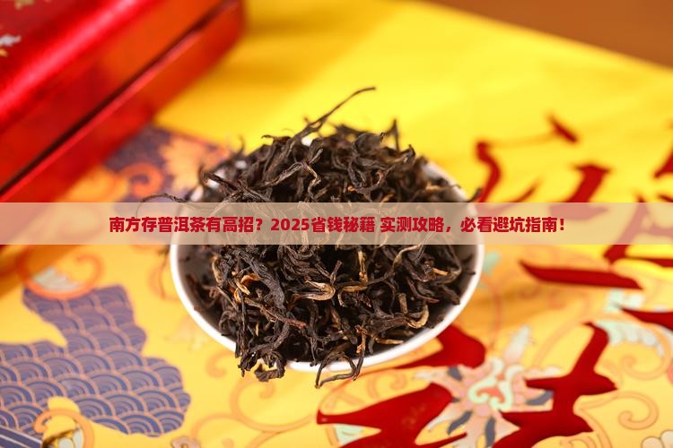 在南方存普洱茶用什么