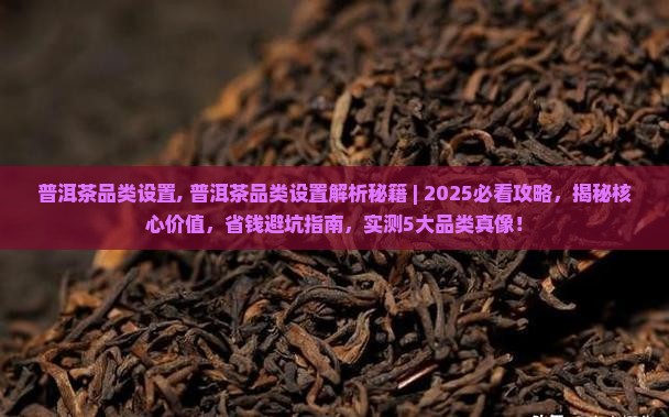 普洱茶品类设置