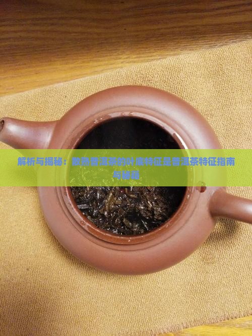 散熟普洱茶的叶底特征是