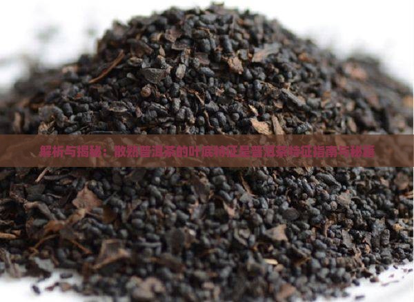 散熟普洱茶的叶底特征是