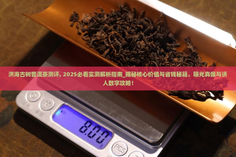 洪海古树普洱茶测评