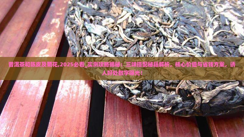 普洱茶和陈皮及菊花