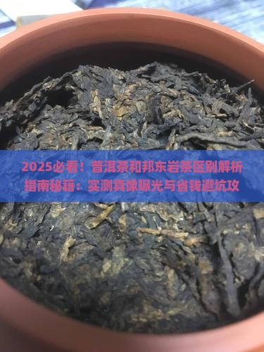 普洱茶和邦东岩茶区别