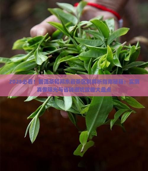 普洱茶和邦东岩茶区别