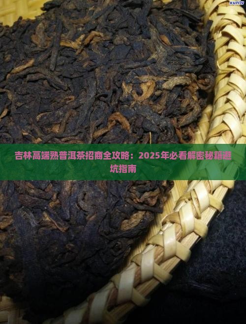 吉林高端熟普洱茶招商