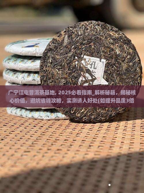 广宁江屯普洱茶基地