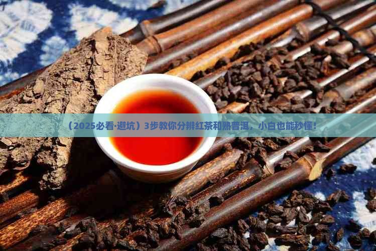 红茶熟普洱茶种类