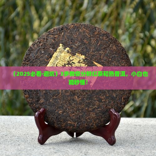 红茶熟普洱茶种类