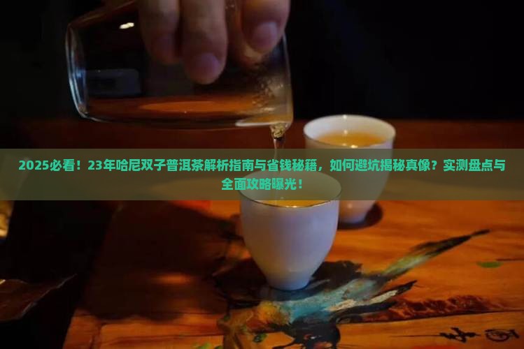 23年哈尼双子普洱茶