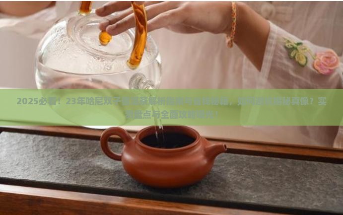 23年哈尼双子普洱茶