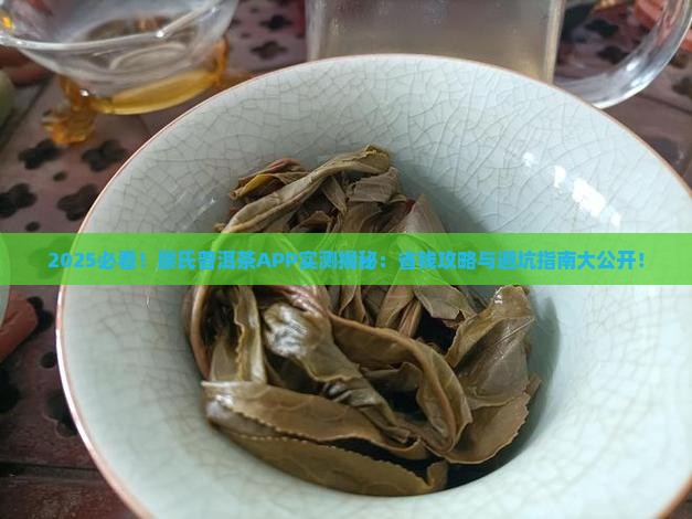 廖氏普洱茶app