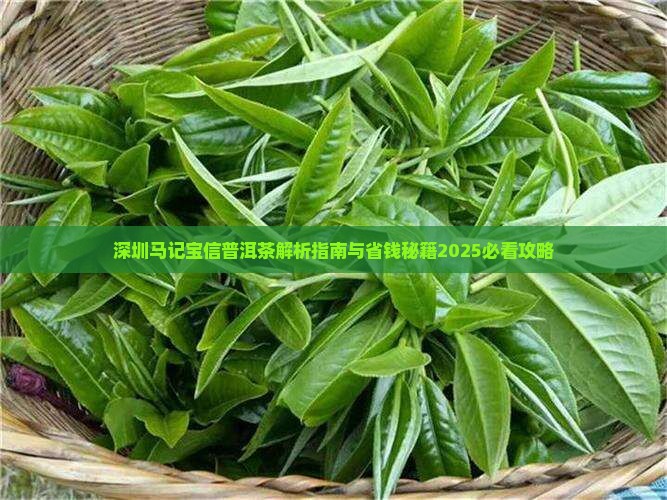 深圳马记宝信普洱茶