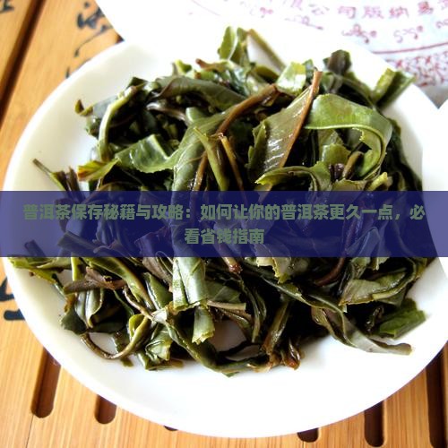 普洱茶如何保存更久一点