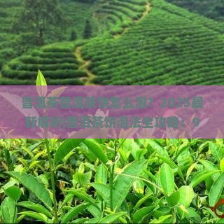 普洱茶普洱茶饼怎么泡