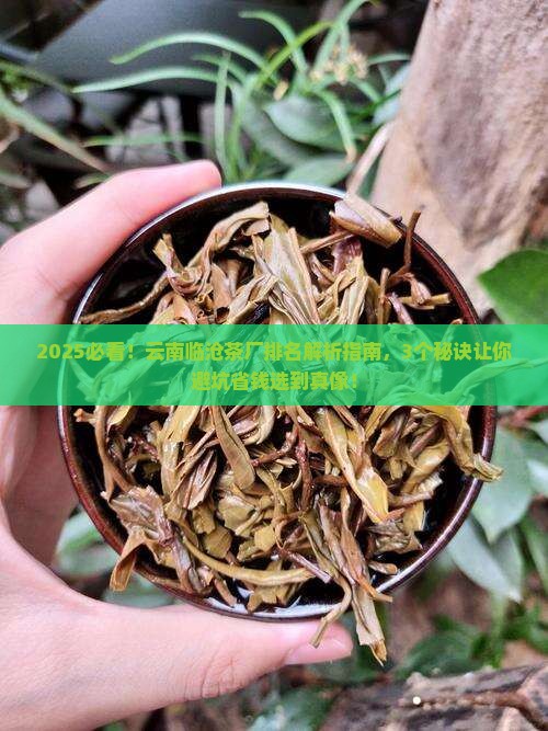 云南临沧茶厂的排名