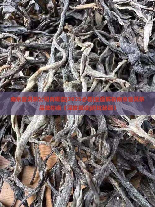 南京普洱茶公司有哪些