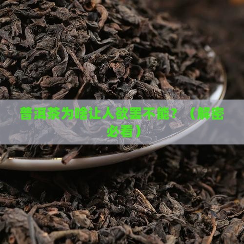 普洱茶吸引人的核心