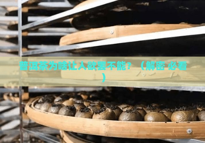 普洱茶吸引人的核心