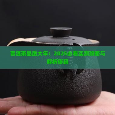 普洱茶品质大年