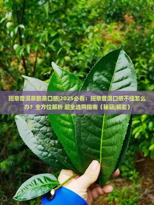 班章普洱茶散茶口感