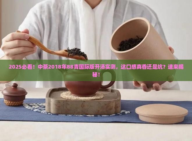 中茶2018年88青国际版开汤