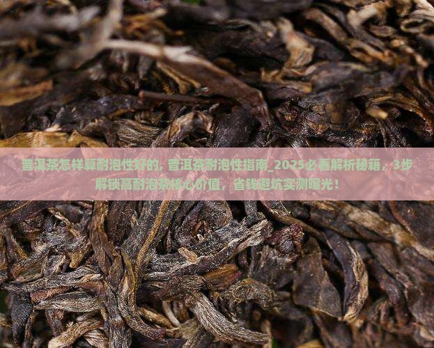 普洱茶怎样算耐泡性好的