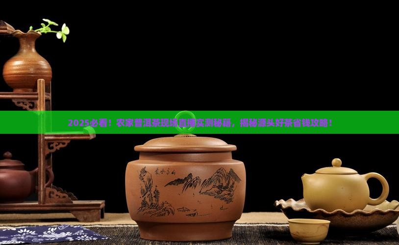 农家普洱茶现场直播