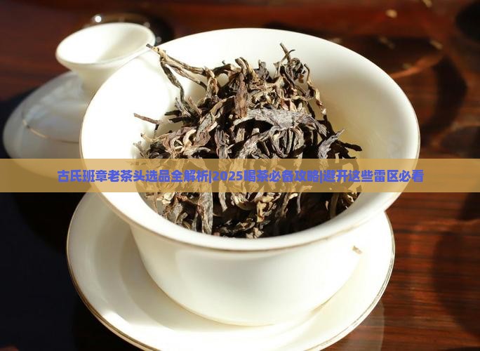 古氏班章老茶头