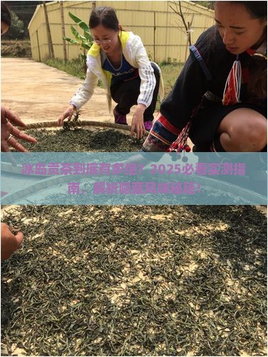 冰岛贡茶的特点