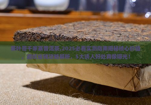 茶叶哥千家寨普洱茶